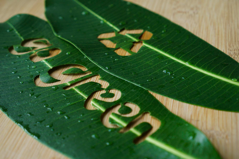 Dharmic Framework Fit-Modern Initiatives- Ethics-Green-Ecofriendliness2
