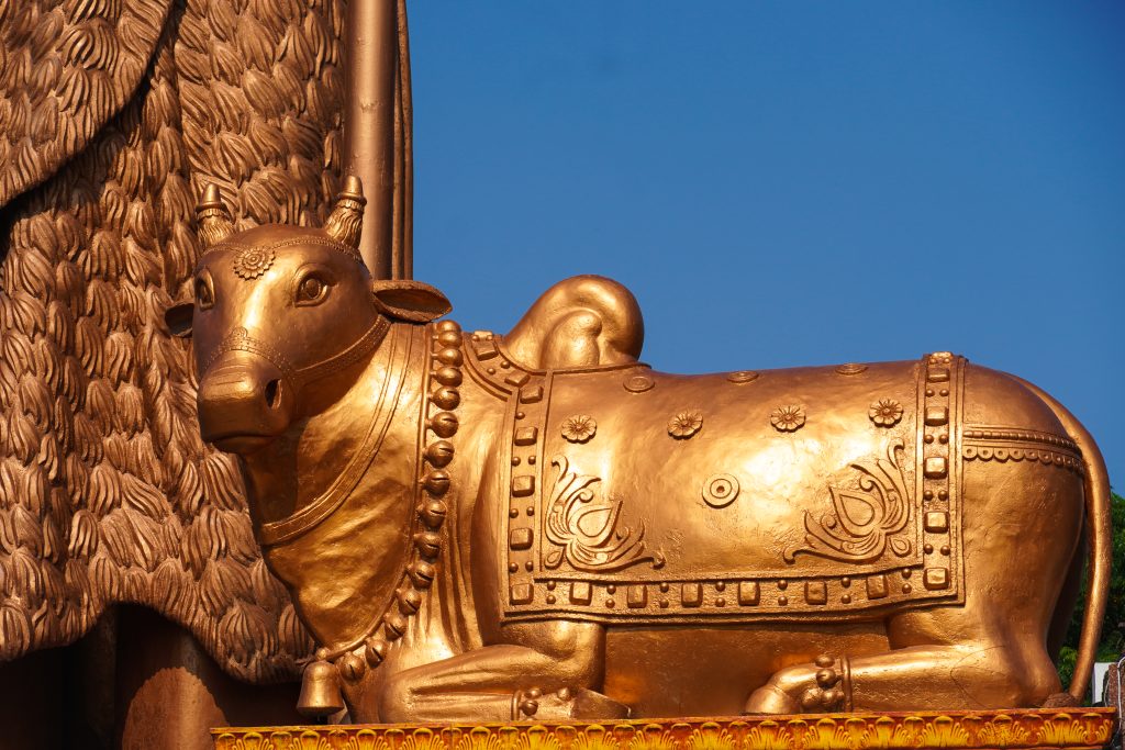 nandi bail images hd nandi pet animal mahadev shiva close up statue image