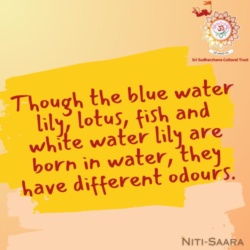 64-Nitisara-diversity-nature