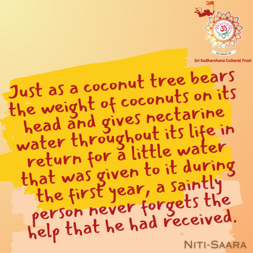 70-Nitisara-coconut-tree-gratitude