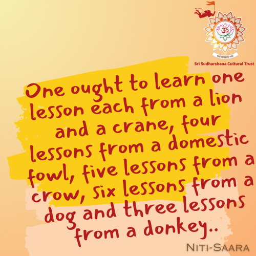 82-Nitisara-animal-insights